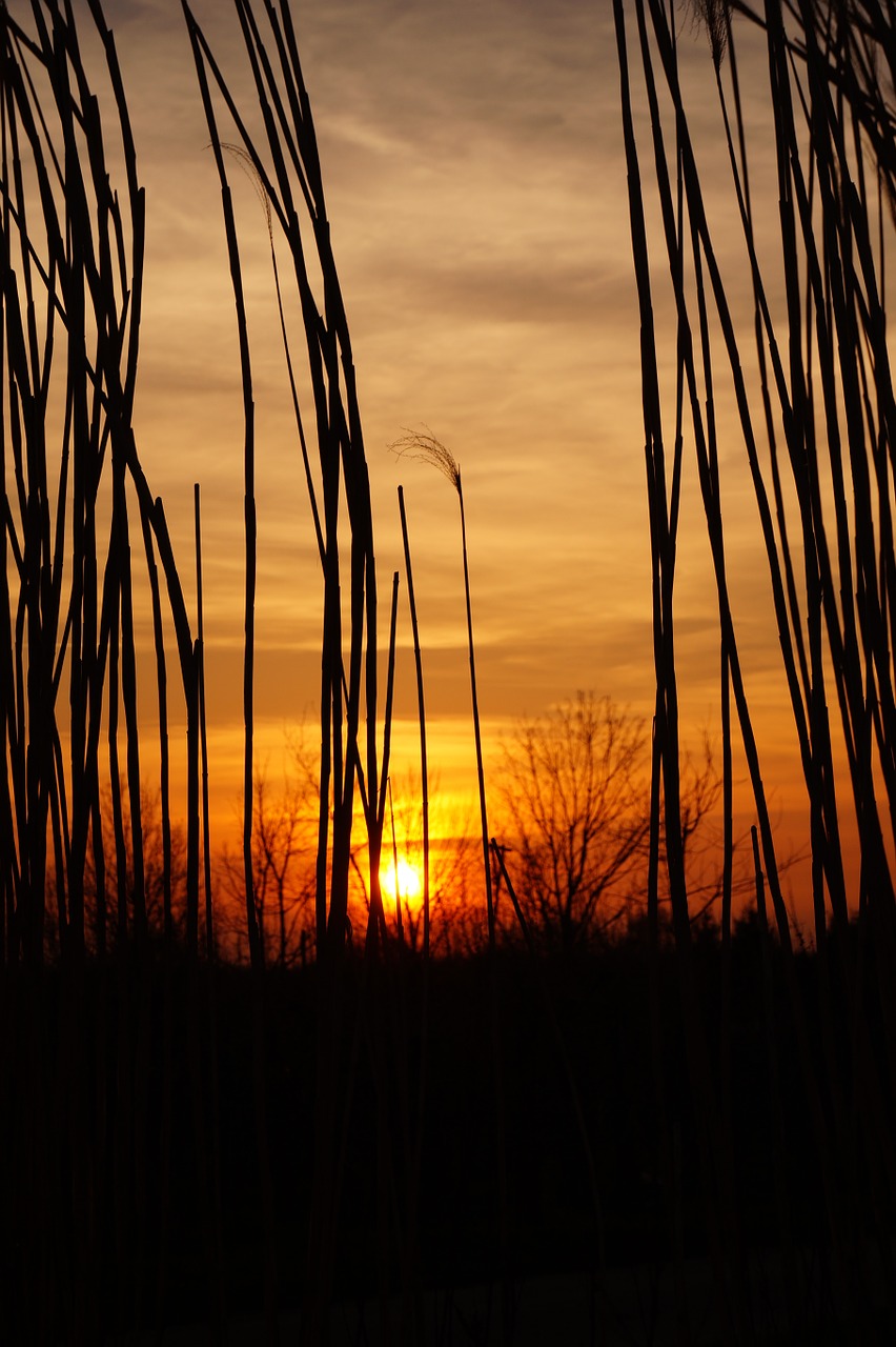 sunset romance sky free photo