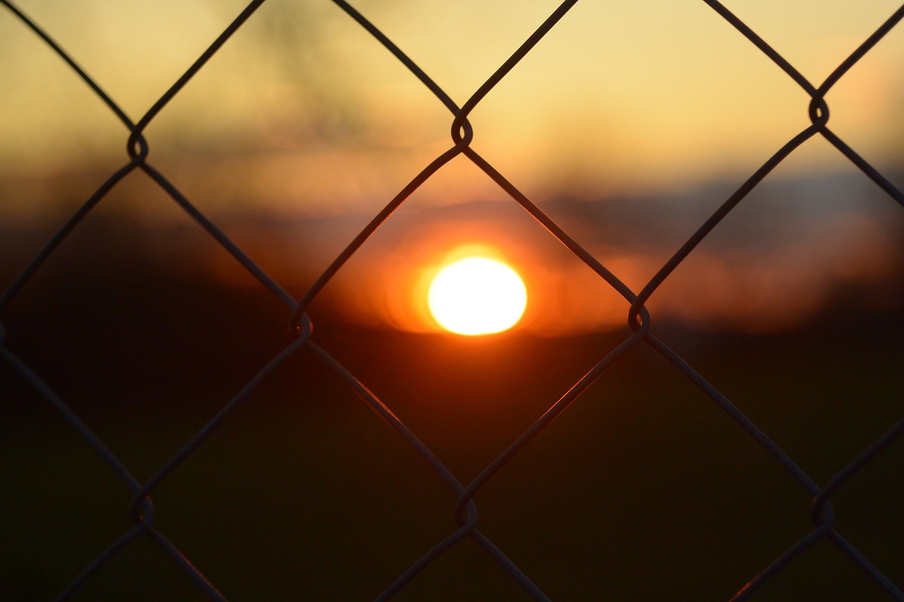 sunset fence grid free photo