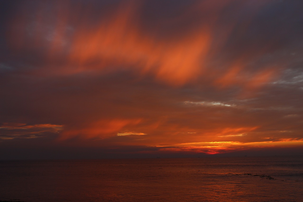 sunset kochi silhouette free photo