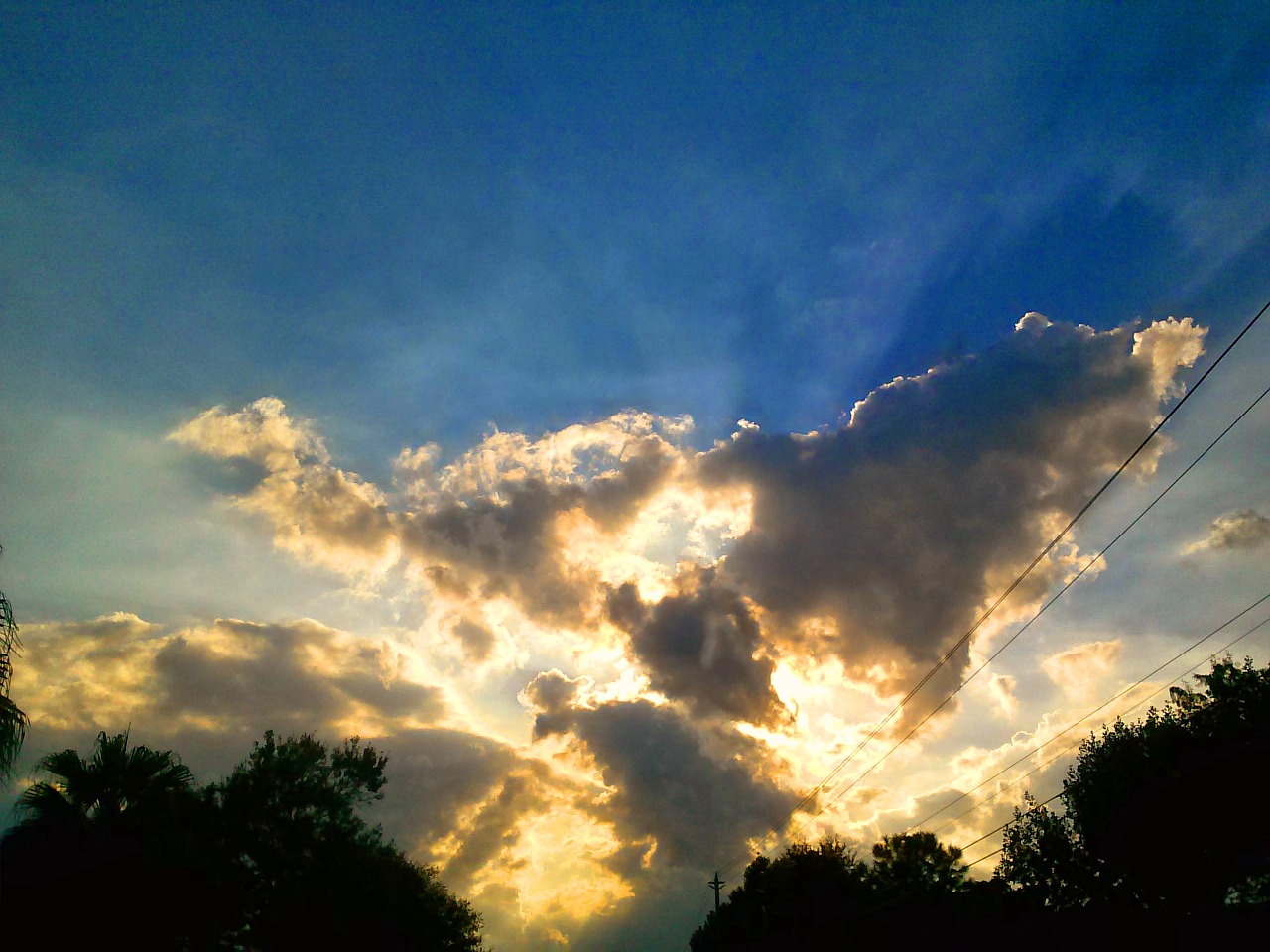 sunset sky florida free photo