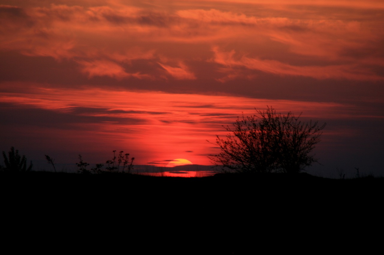 sunset sun red free photo