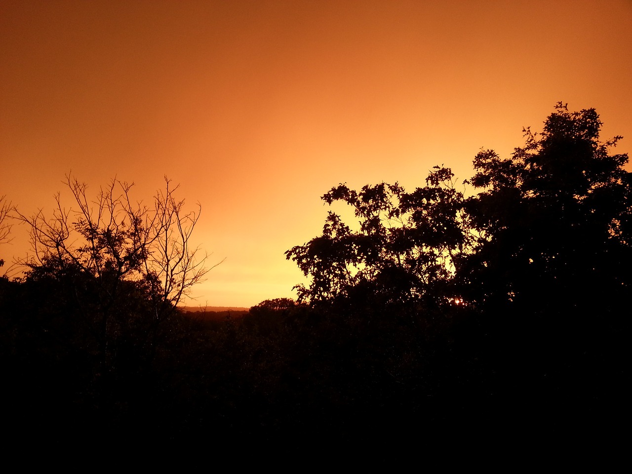 sunset summer sky orange free photo