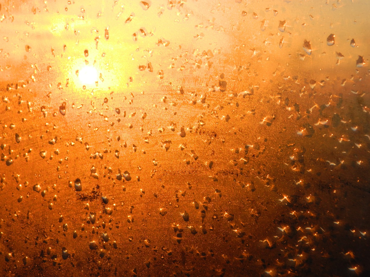 sunset drops evening free photo