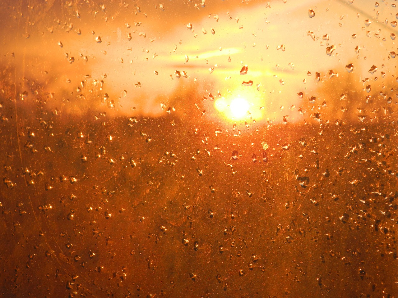 sunset drops evening free photo