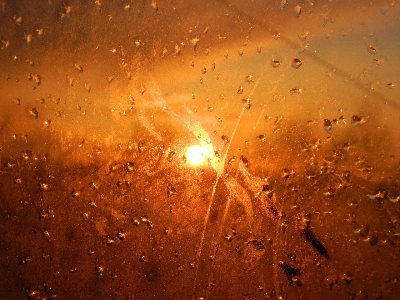 sunset drops evening free photo