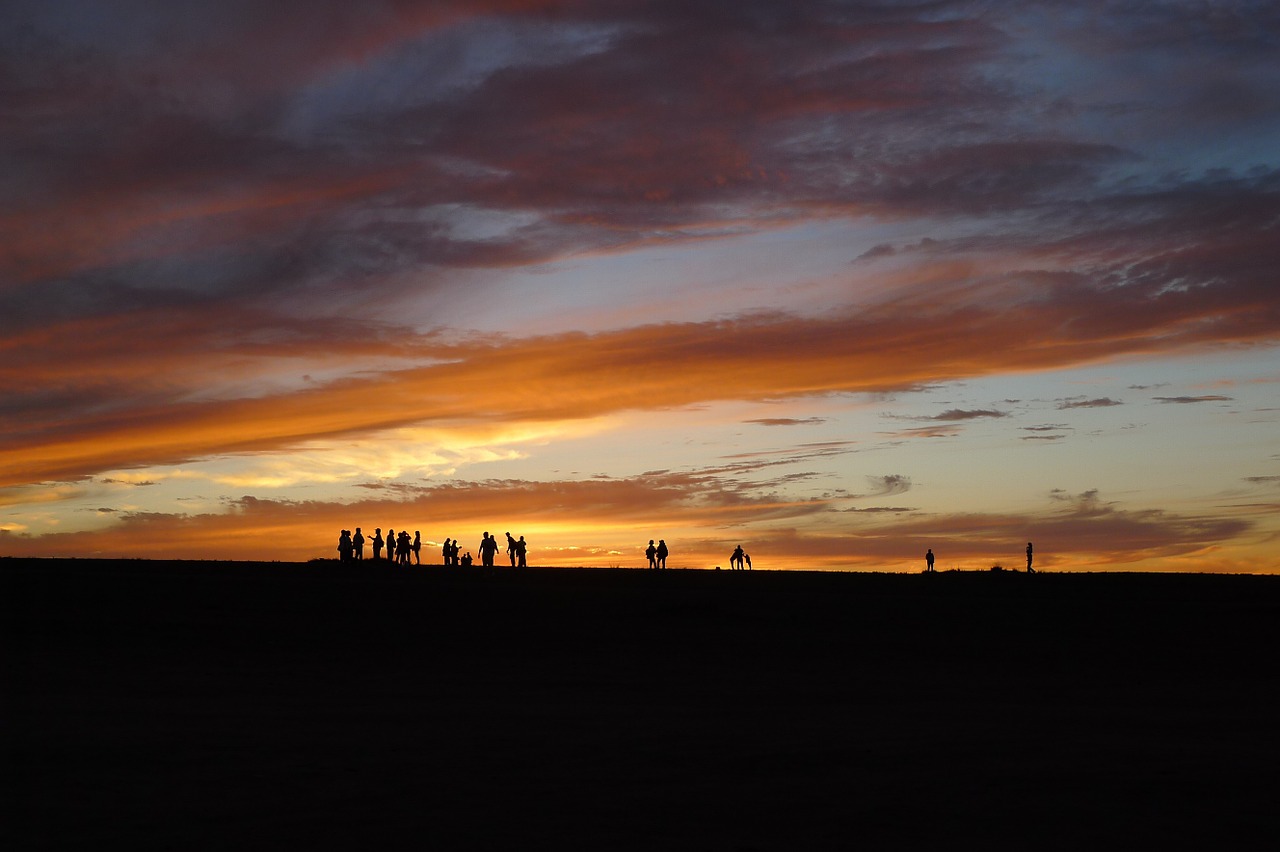 sunset the evening sun silhouette free photo