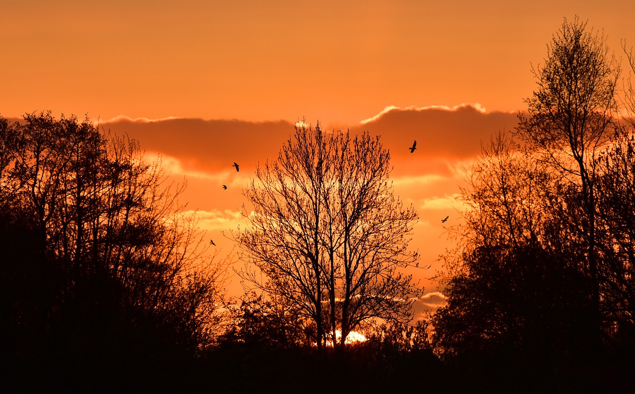 sunset red afterglow free photo