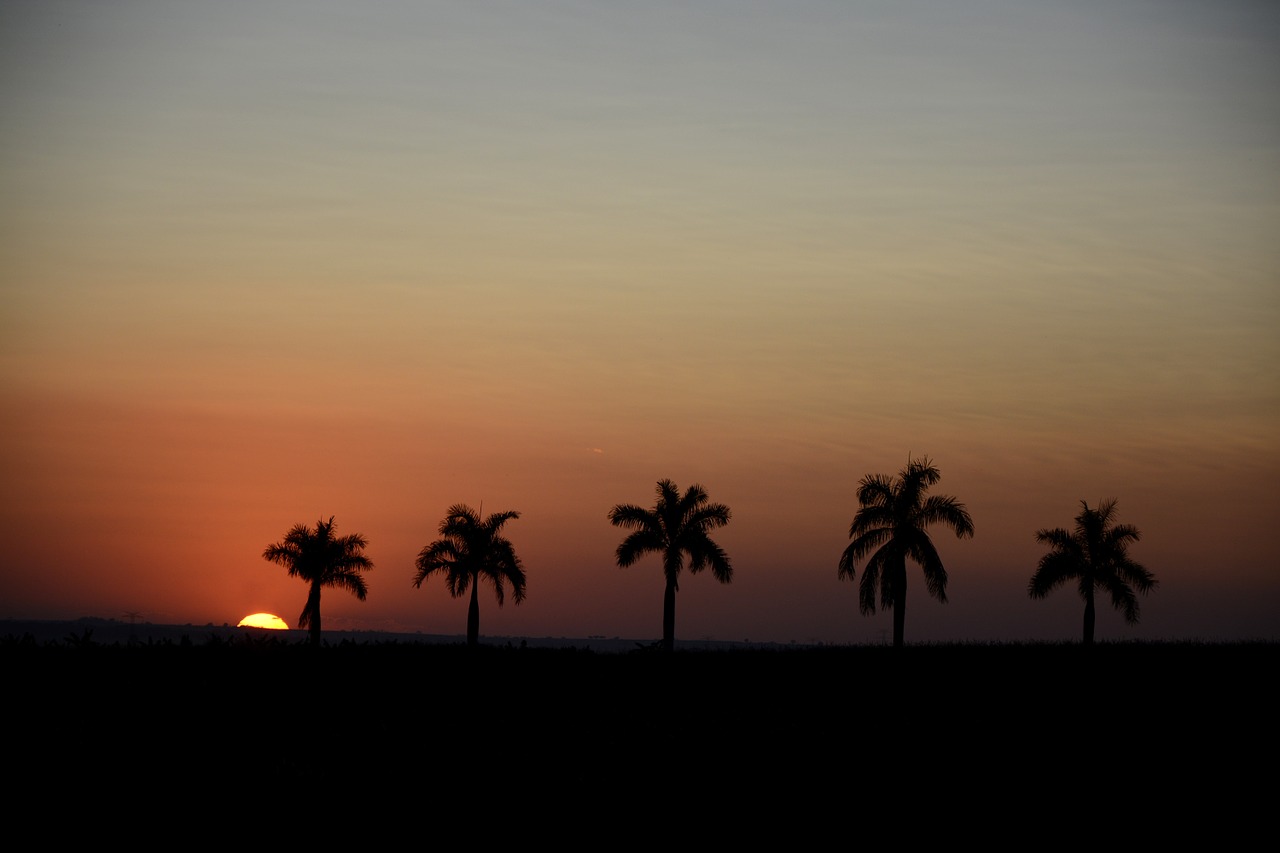 sunset silhouette horizon free photo