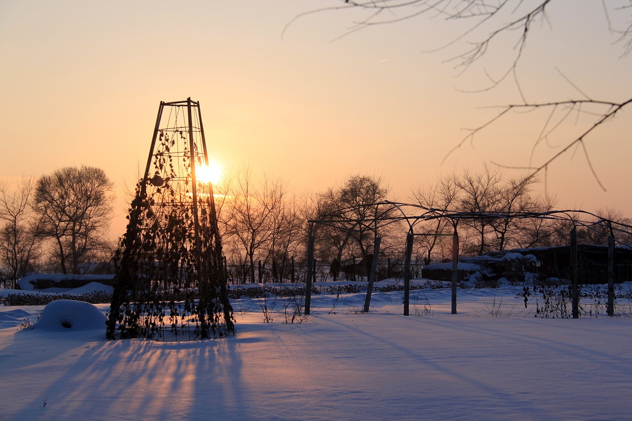 sunset twilight warm free photo