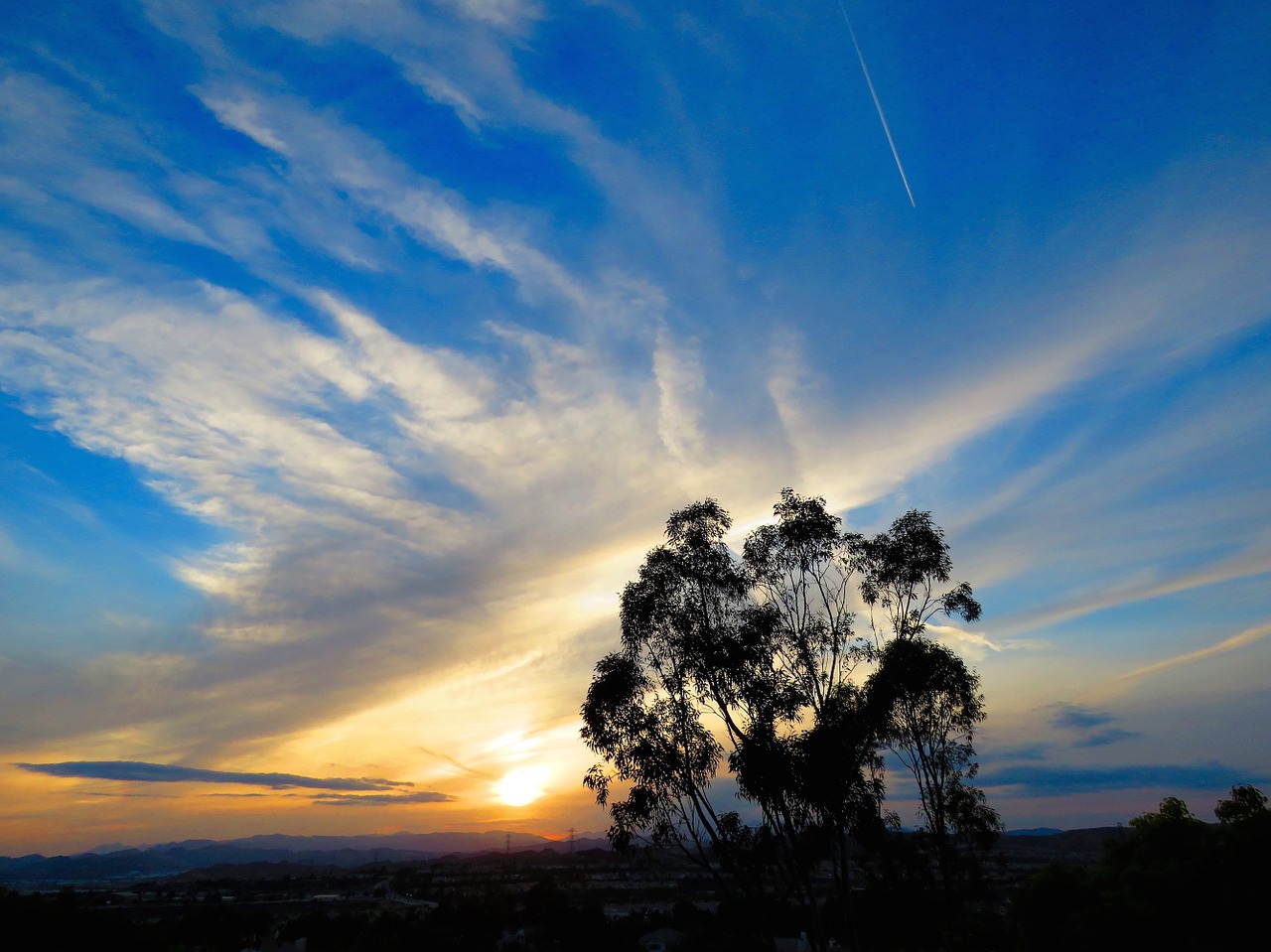 sunset clouds tree free photo