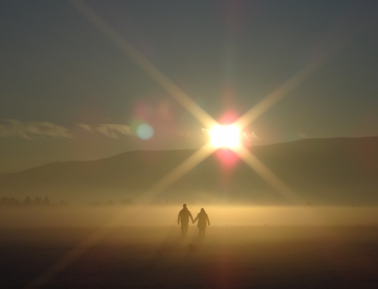 sunset couple holding hands free photo