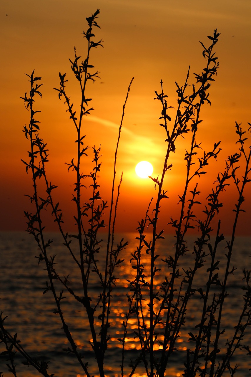 sunset waterside lake free photo