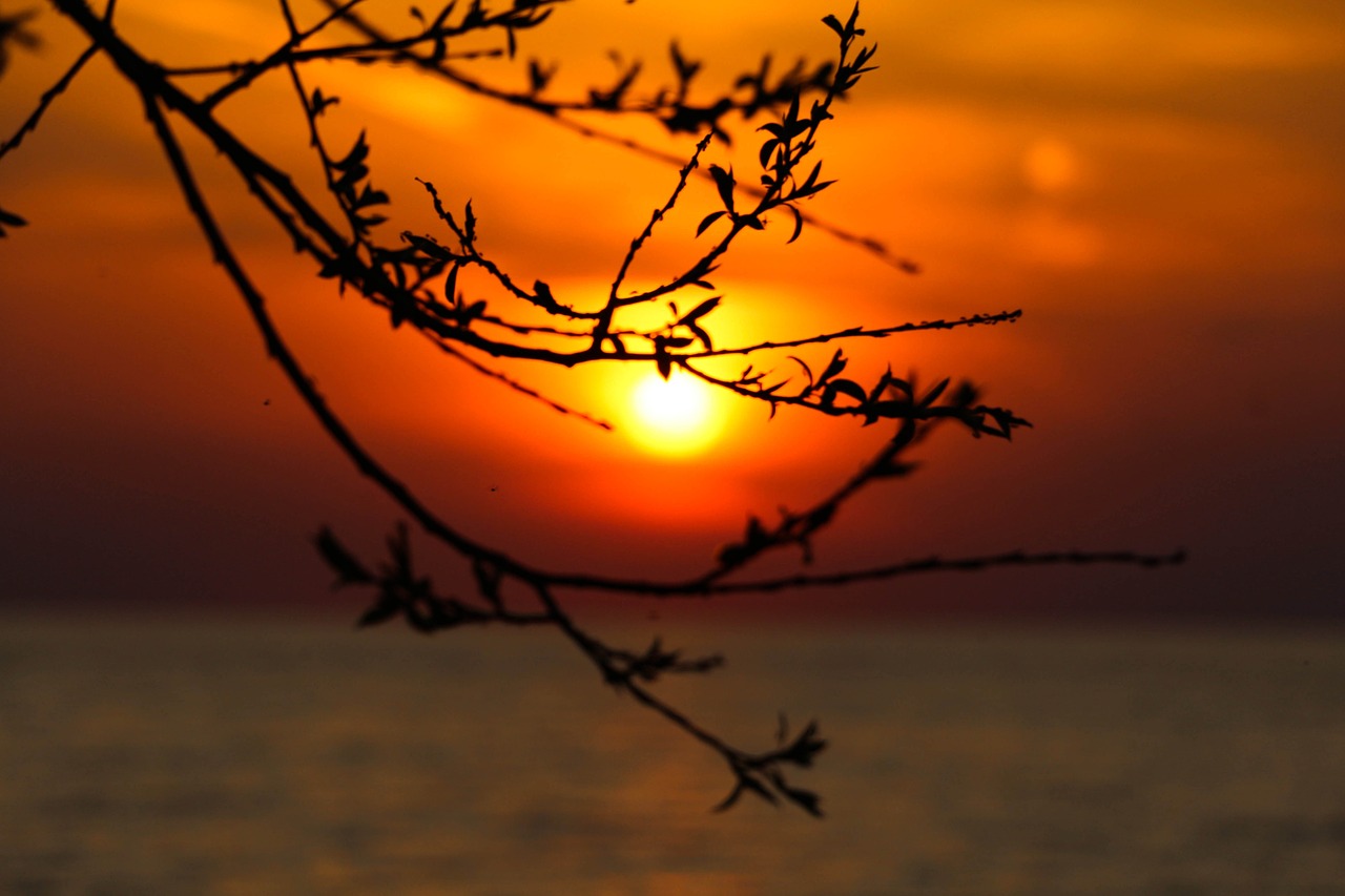 sunset waterside lake free photo