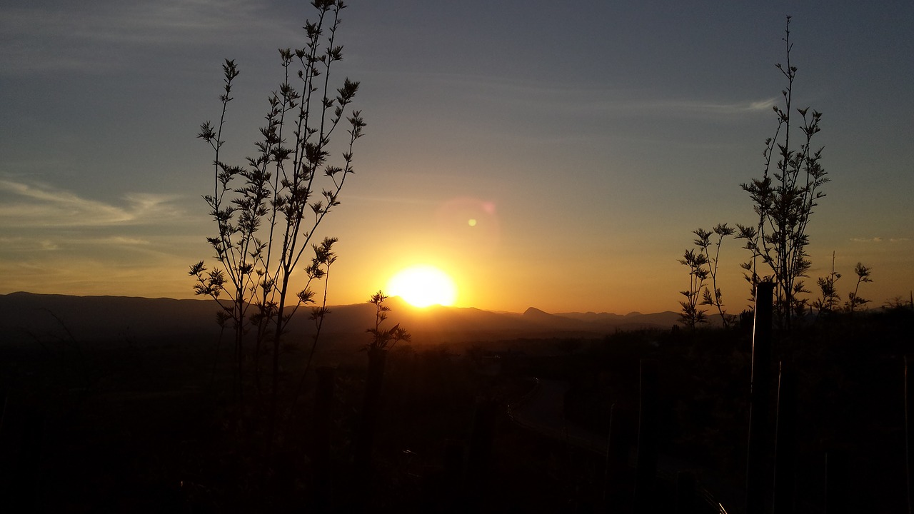 sunset silhouette red free photo