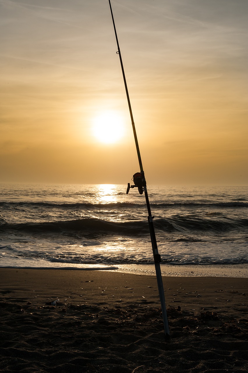 sunset sea beach free photo