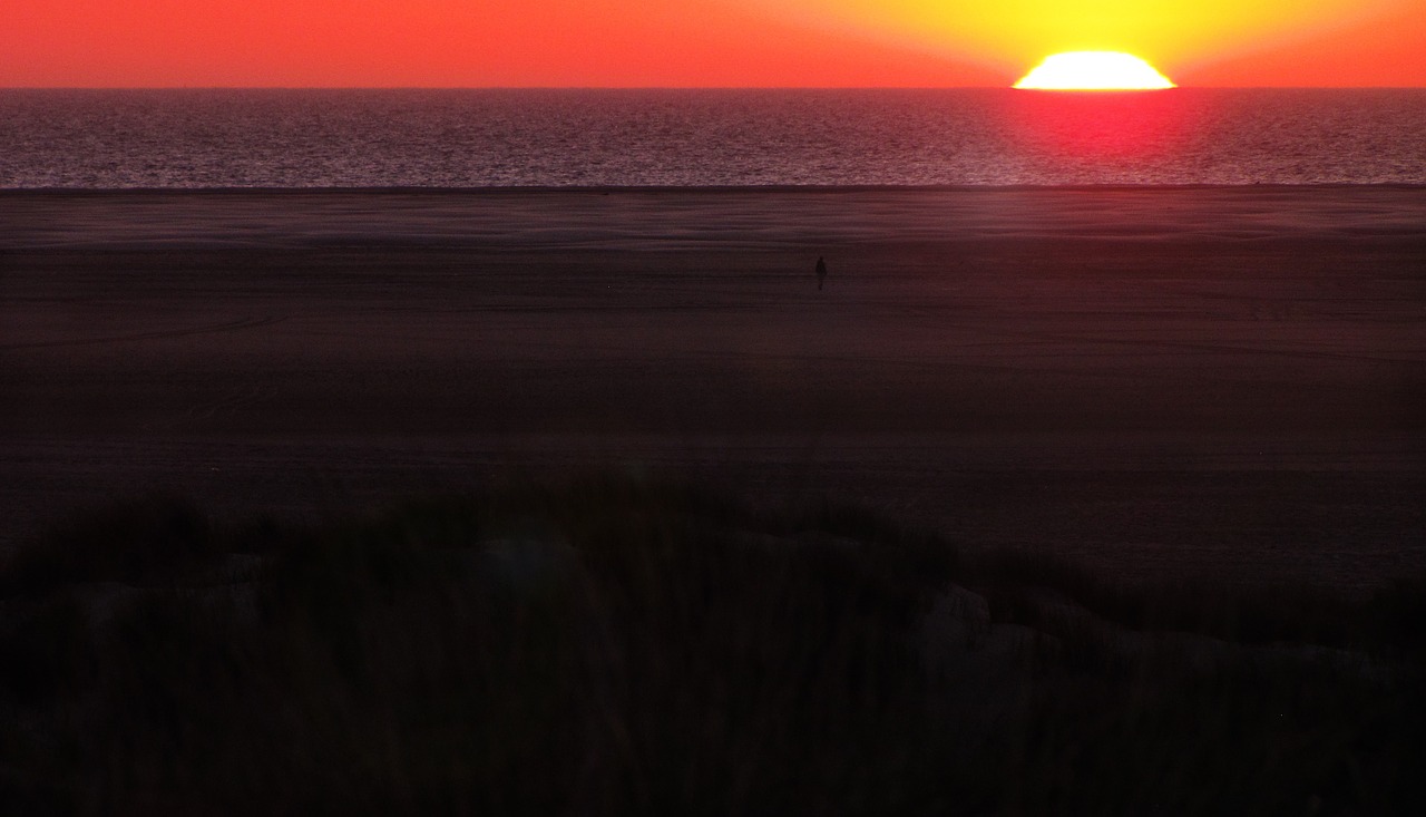 sunset sea alone free photo