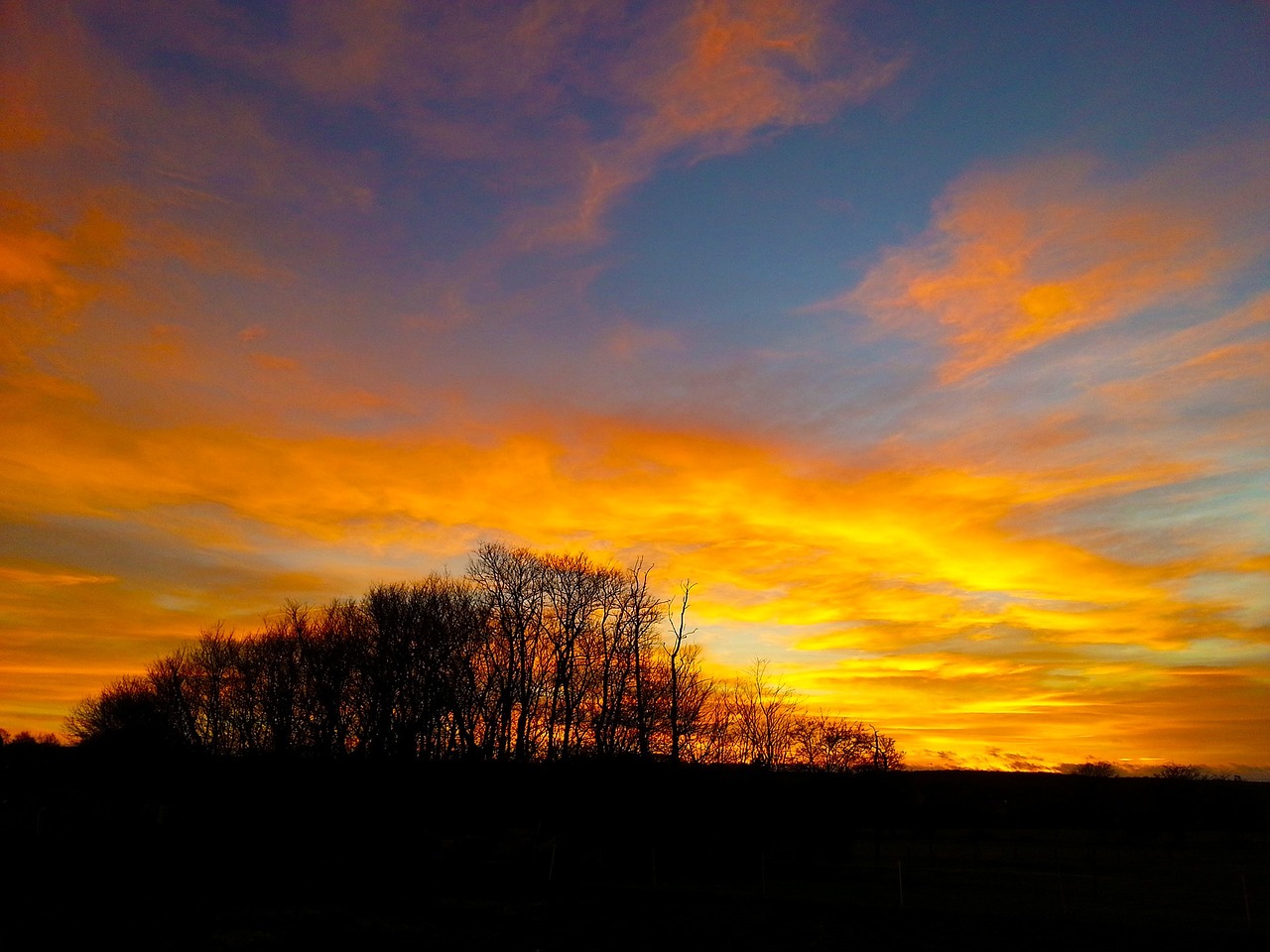 sunset sky silhouette free photo