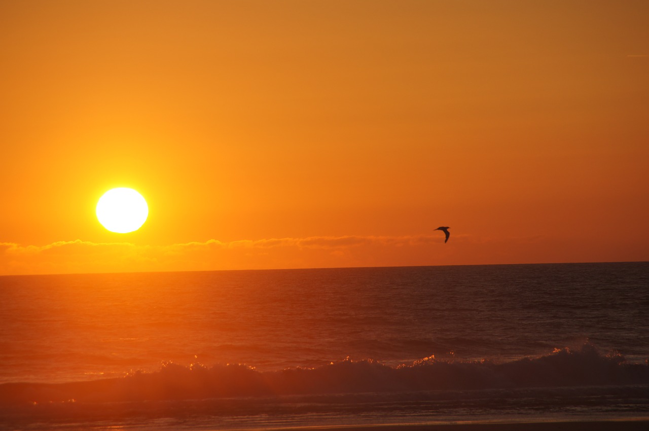 sunset ocean wave free photo