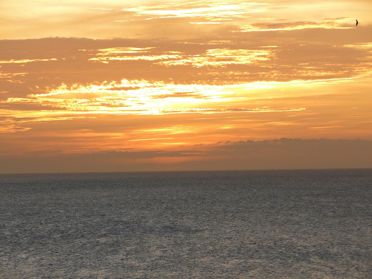 sunset horizon ocher free photo