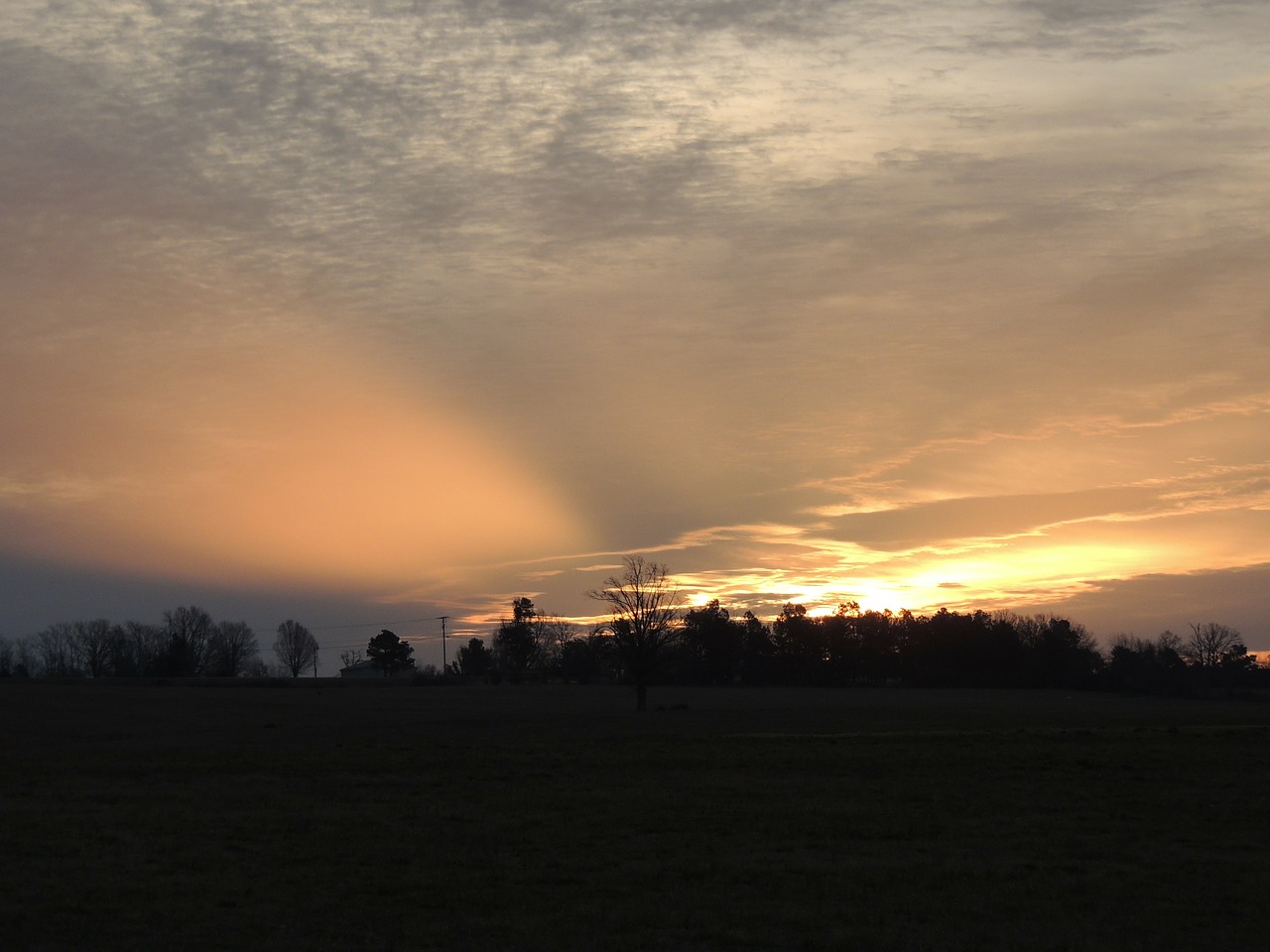 sunset dusk silhouette free photo