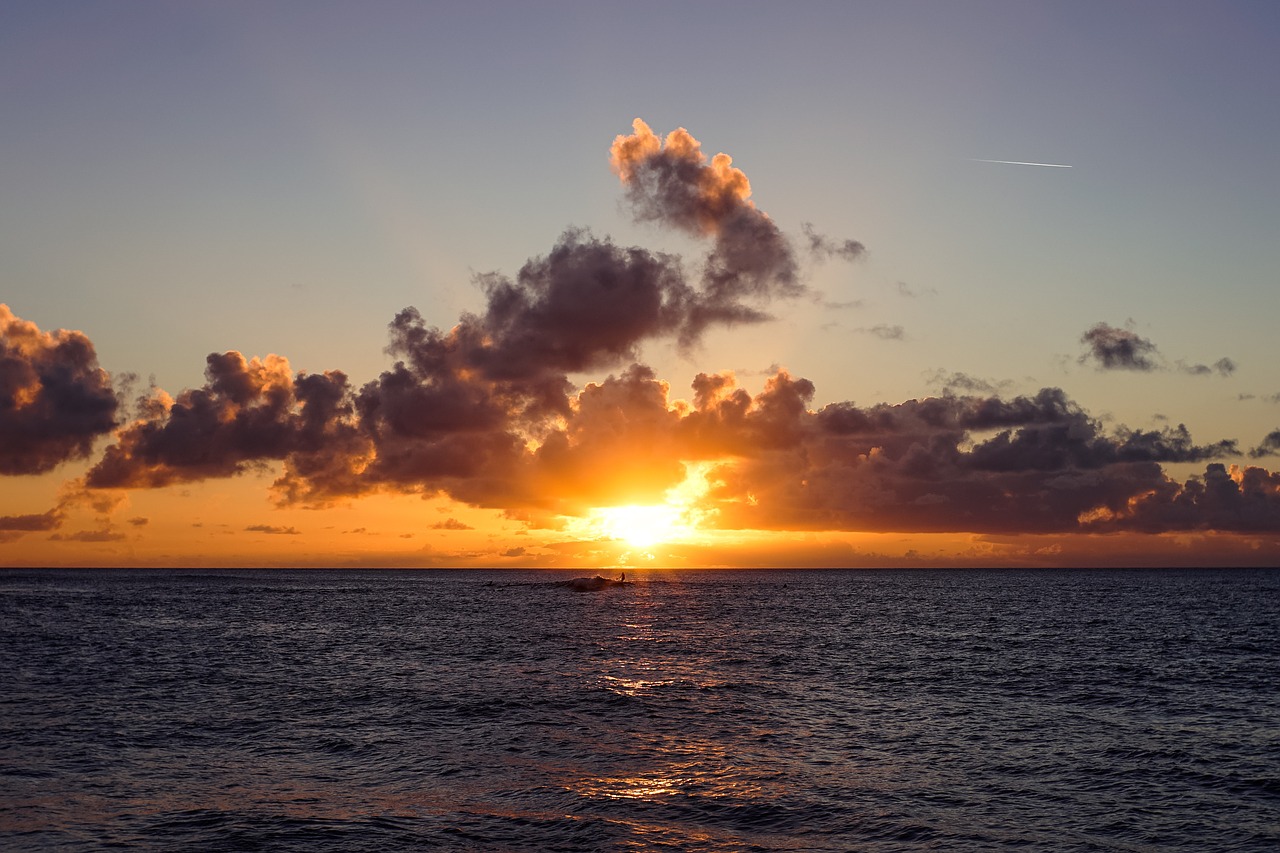 sunset scene ocean free photo