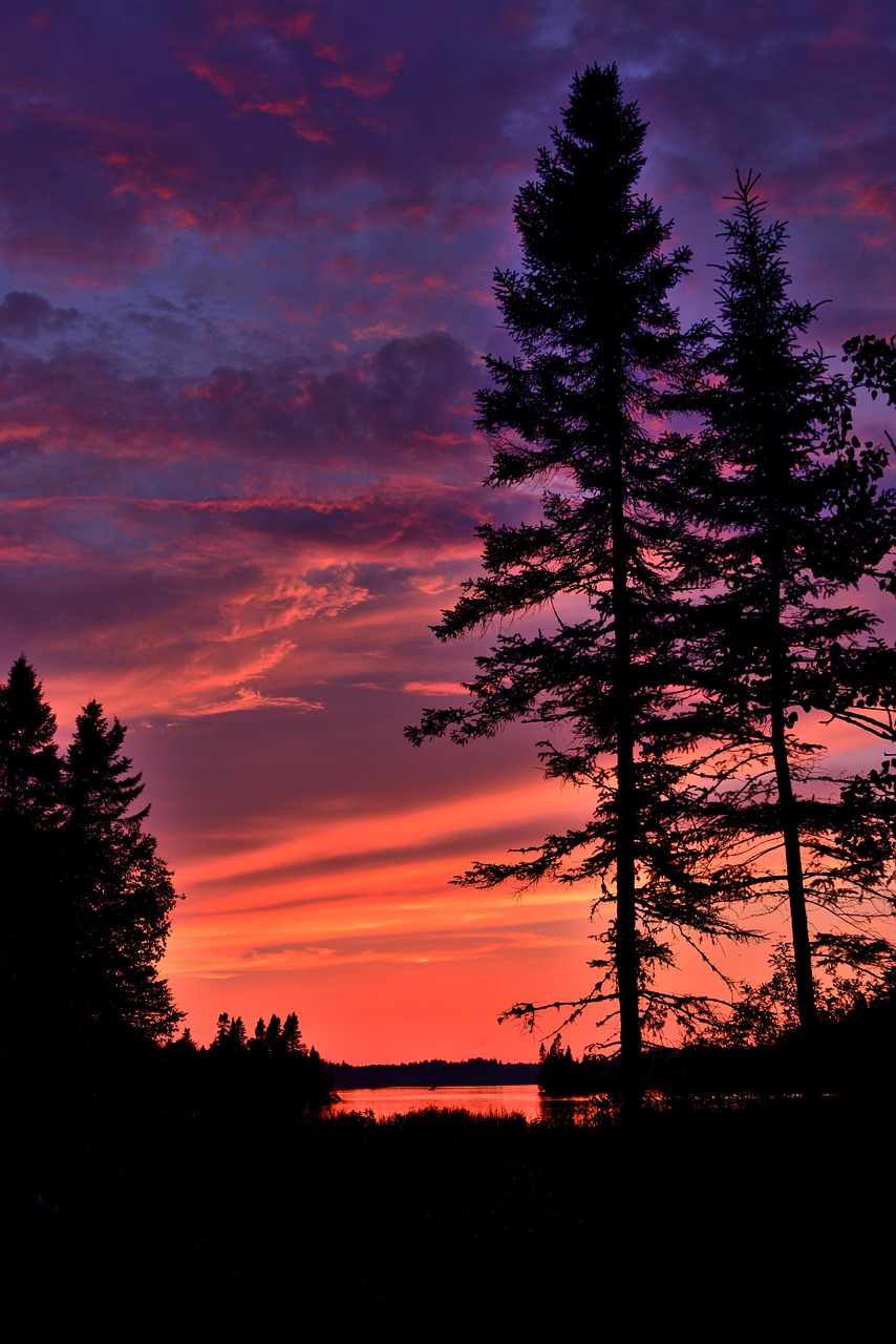 sunset colors trees free photo