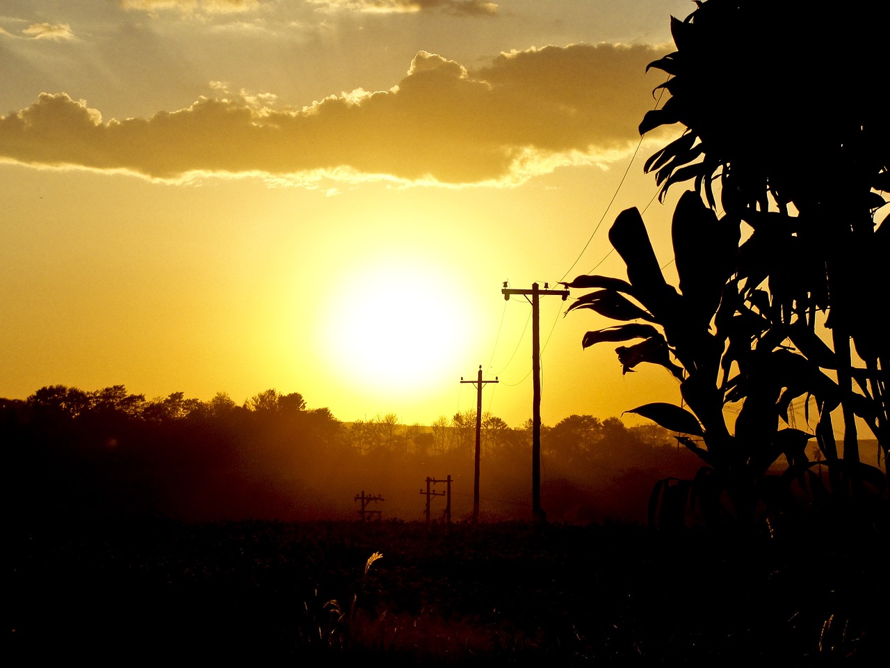 sunset silhouette sun free photo