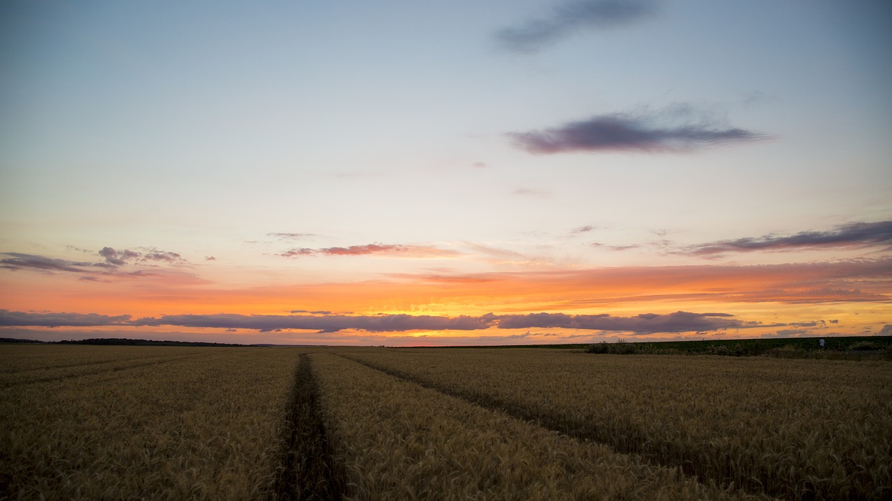 sunset a surname choi clouds free photo