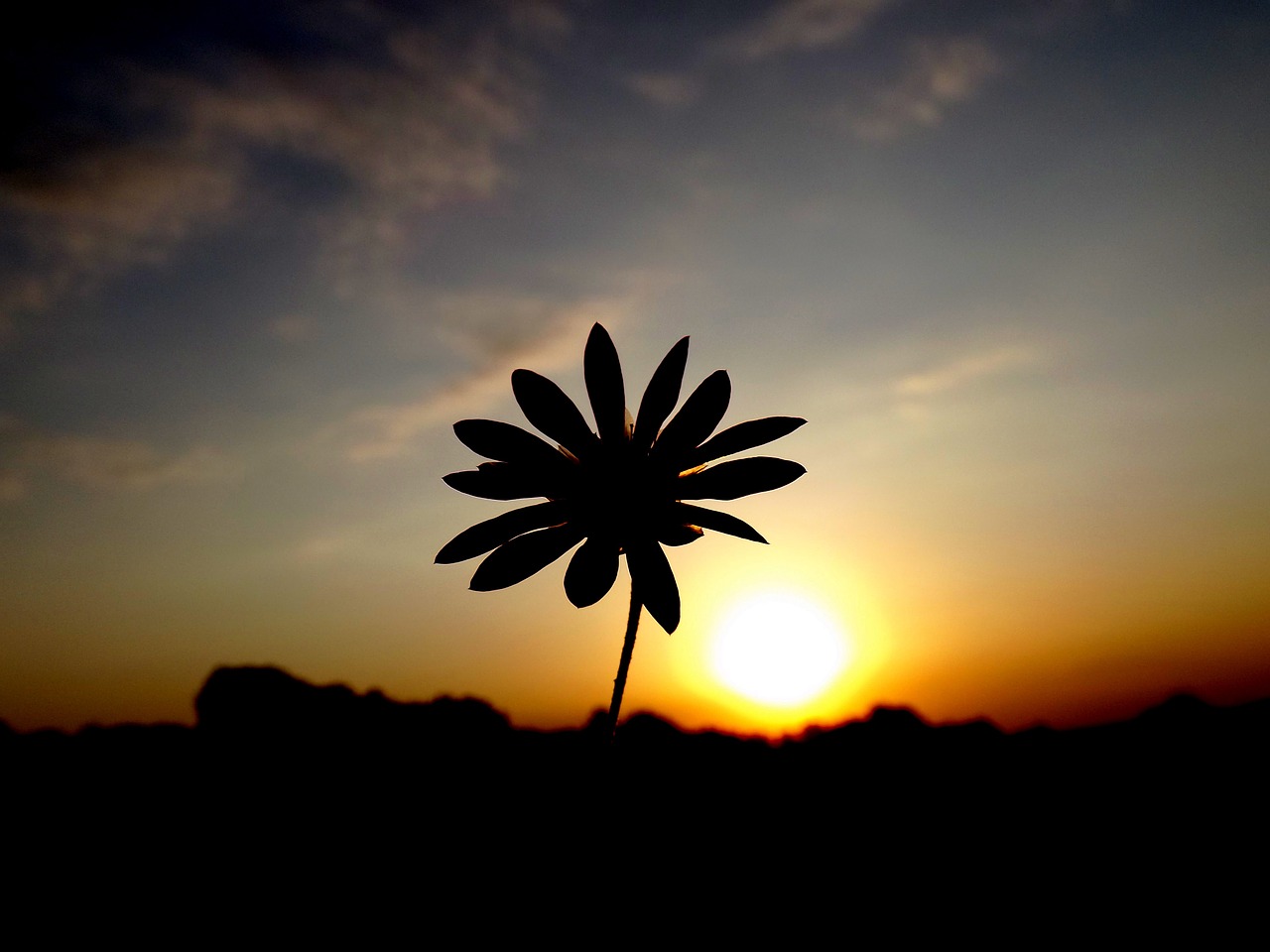 sunset silhouette east free photo