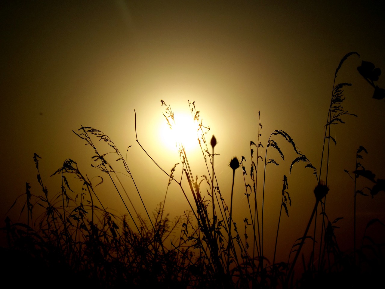 sunset silhouette east free photo