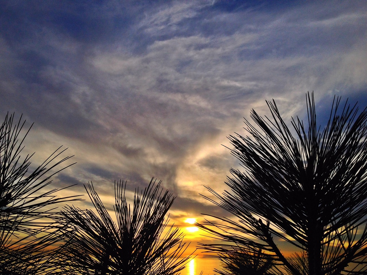 sunset san diego california free photo