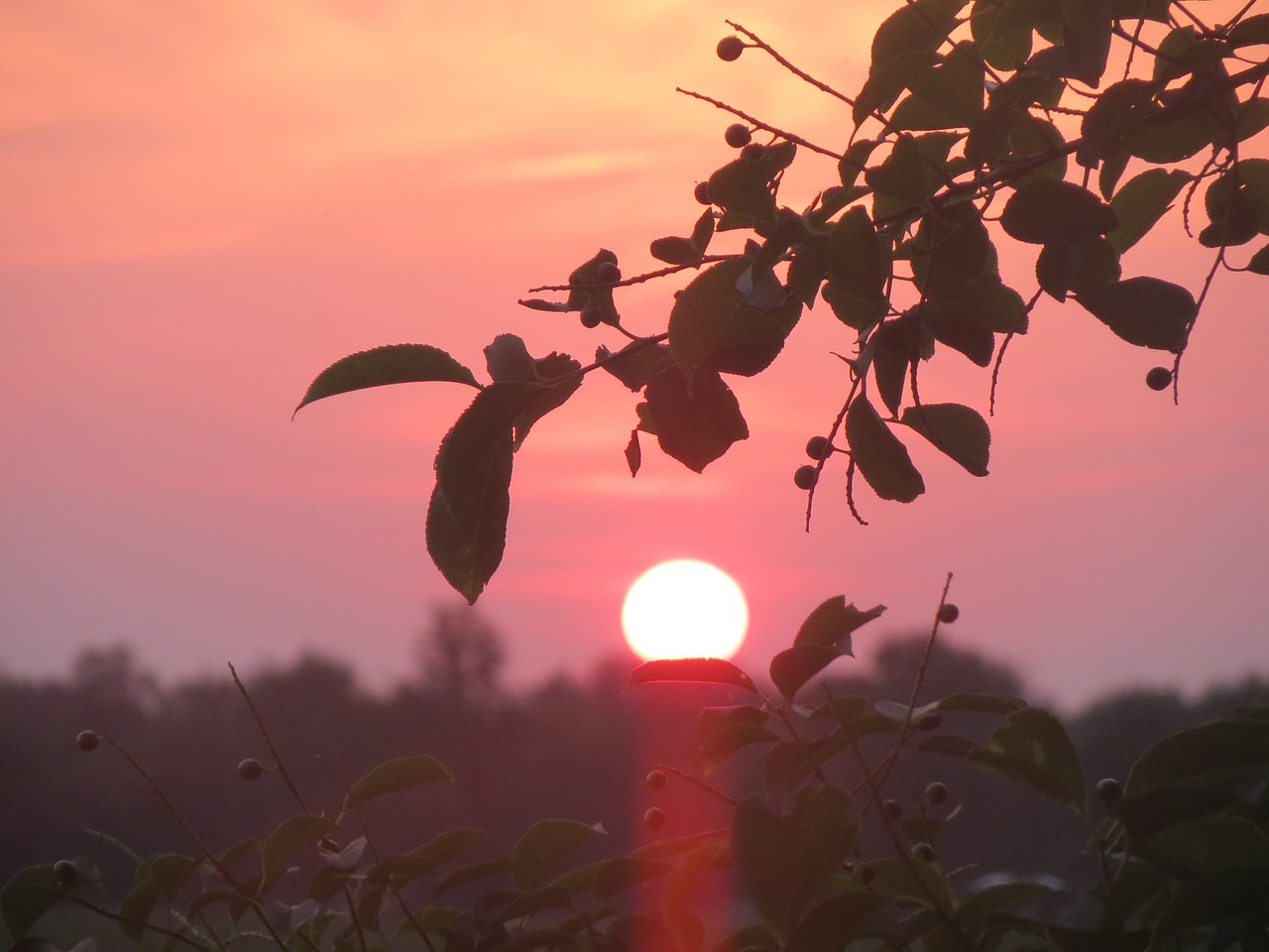 sunset sun setting sun free photo