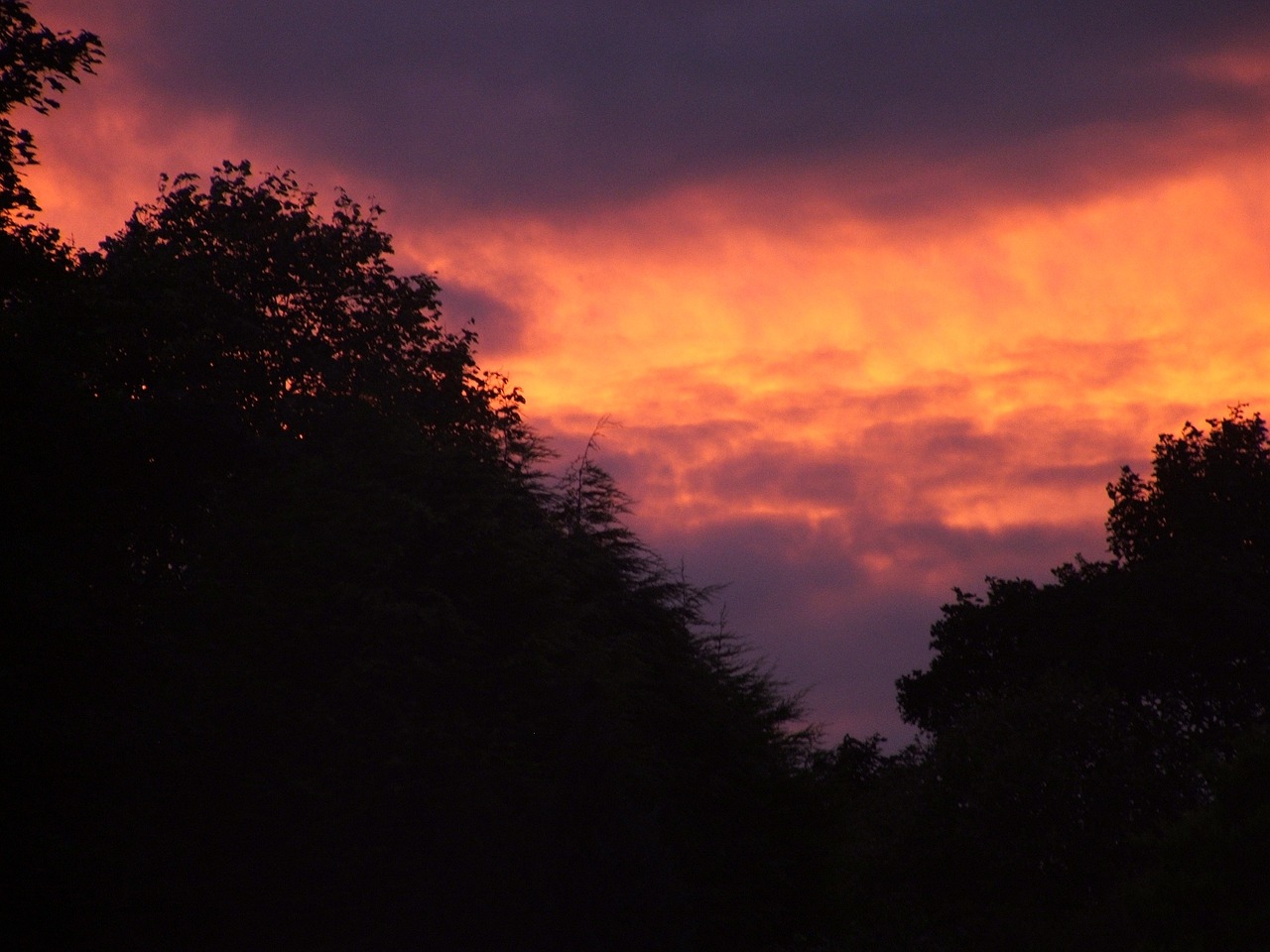 sunset dark trees free photo