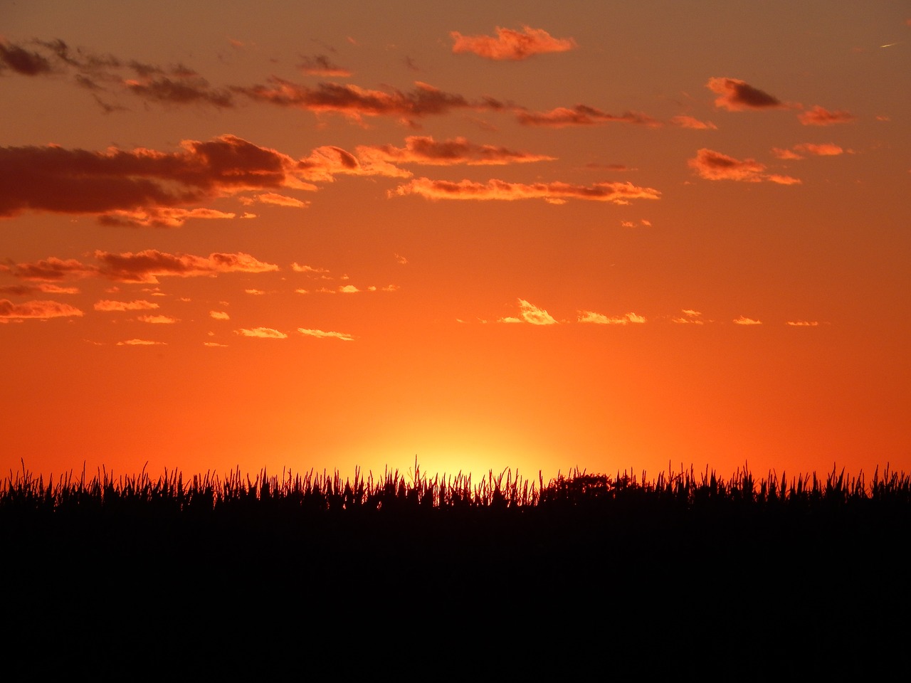 sunset horizon midwest free photo