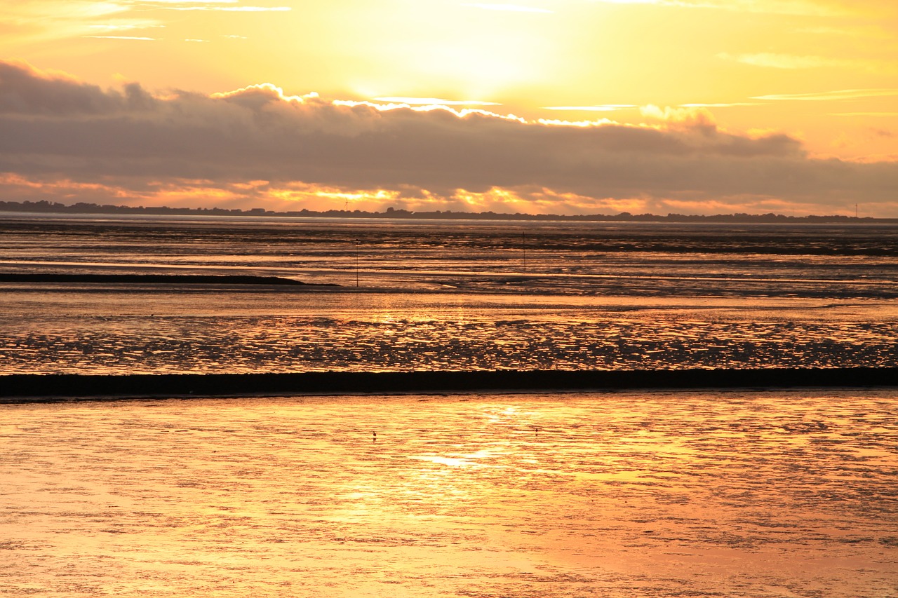 sunset north sea background free photo