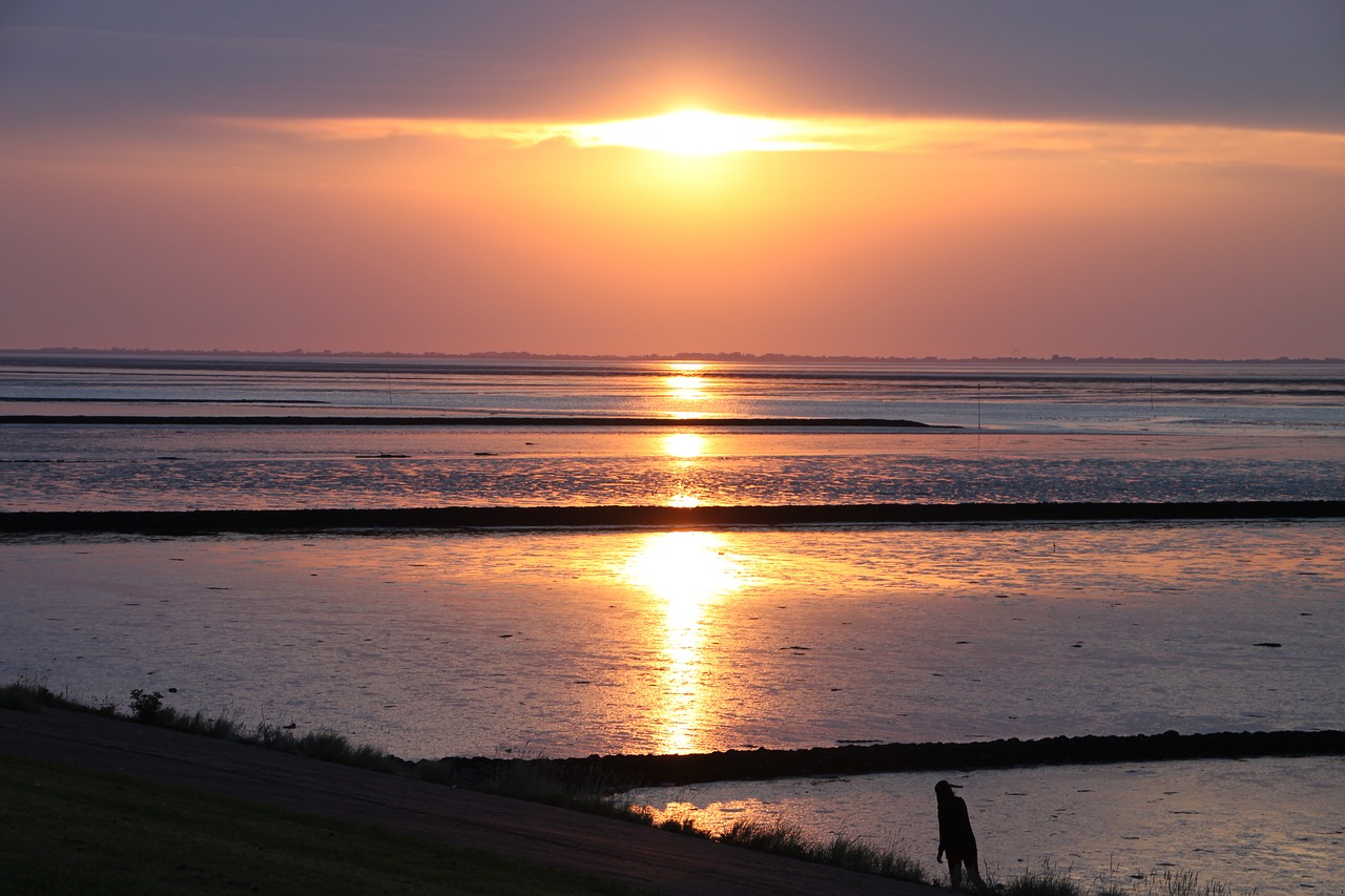 sunset north sea background free photo