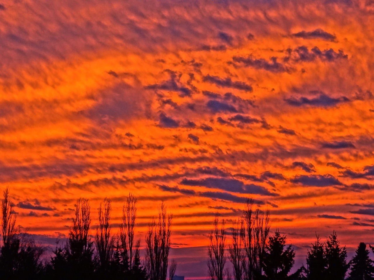 sunset cloudscape orange free photo