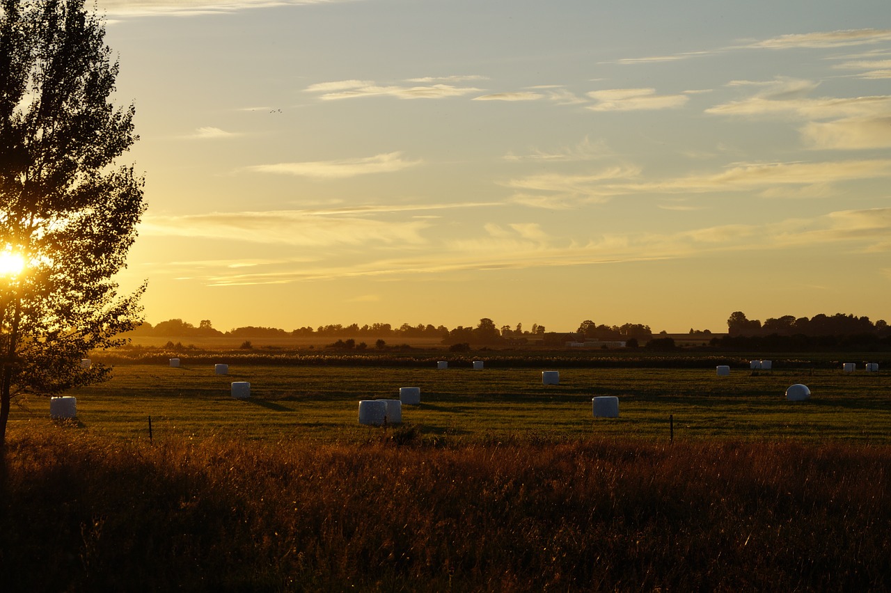 sunset abendstimmung field free photo