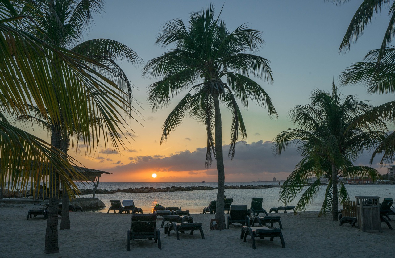 sunset caribbean palm trees free photo