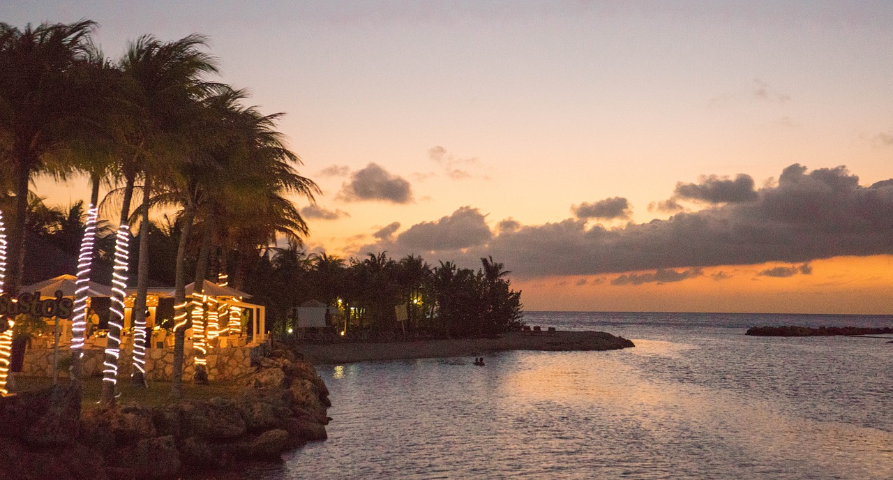 sunset caribbean palm trees free photo