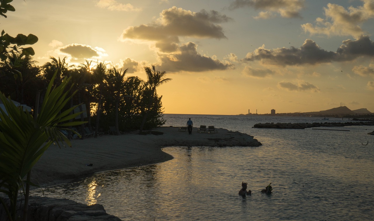 sunset caribbean palm trees free photo