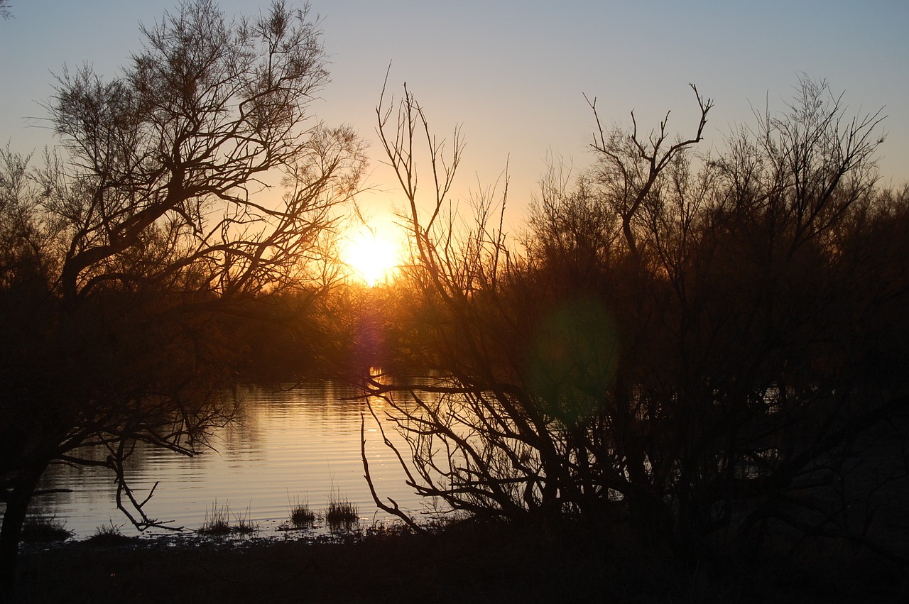 sunset marsh dark free photo