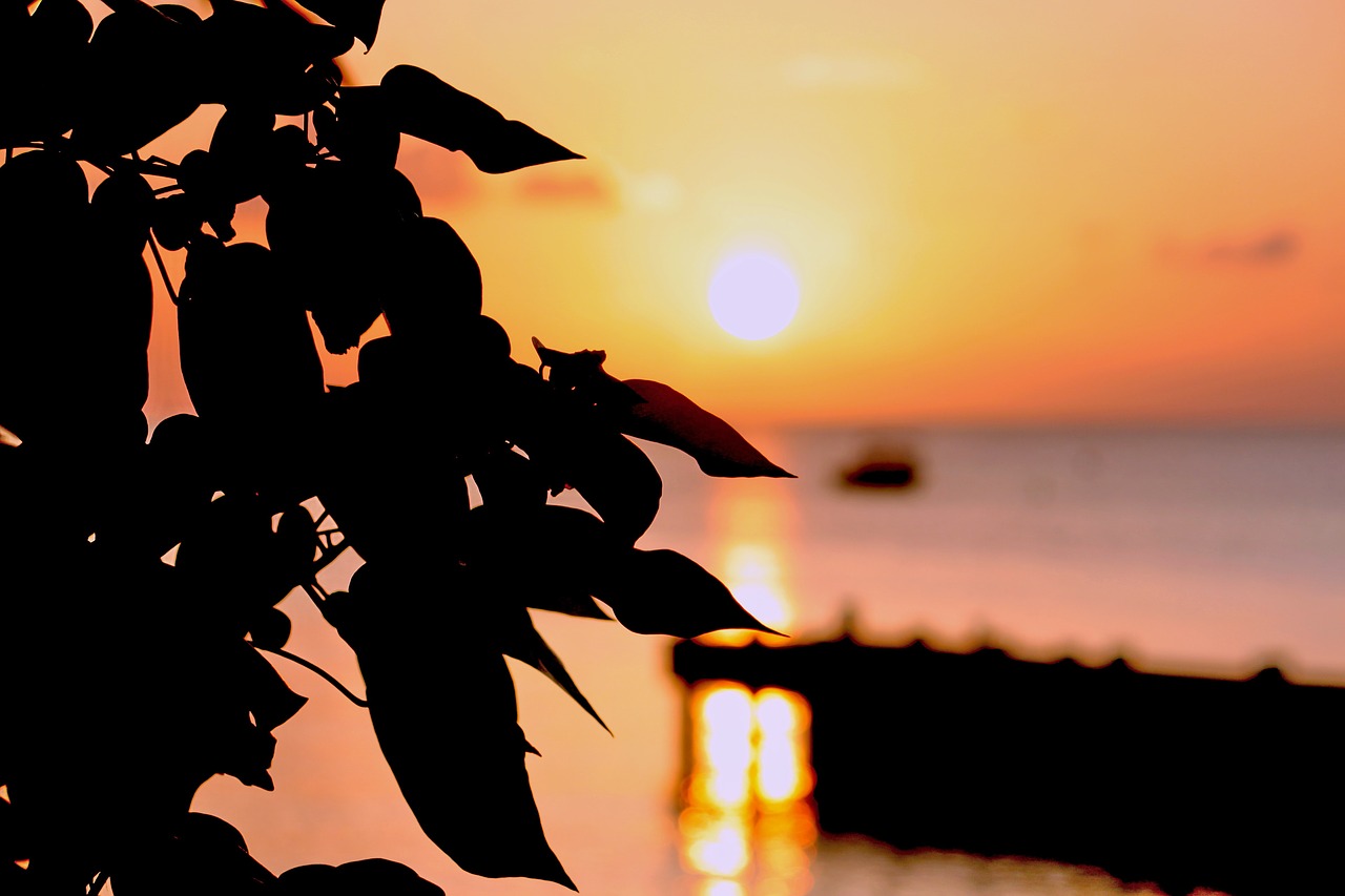 sunset shadow dock free photo