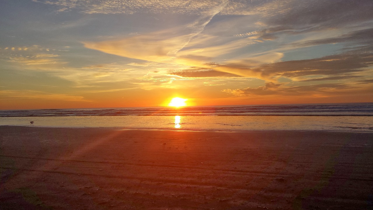 sunset ocean beach free photo