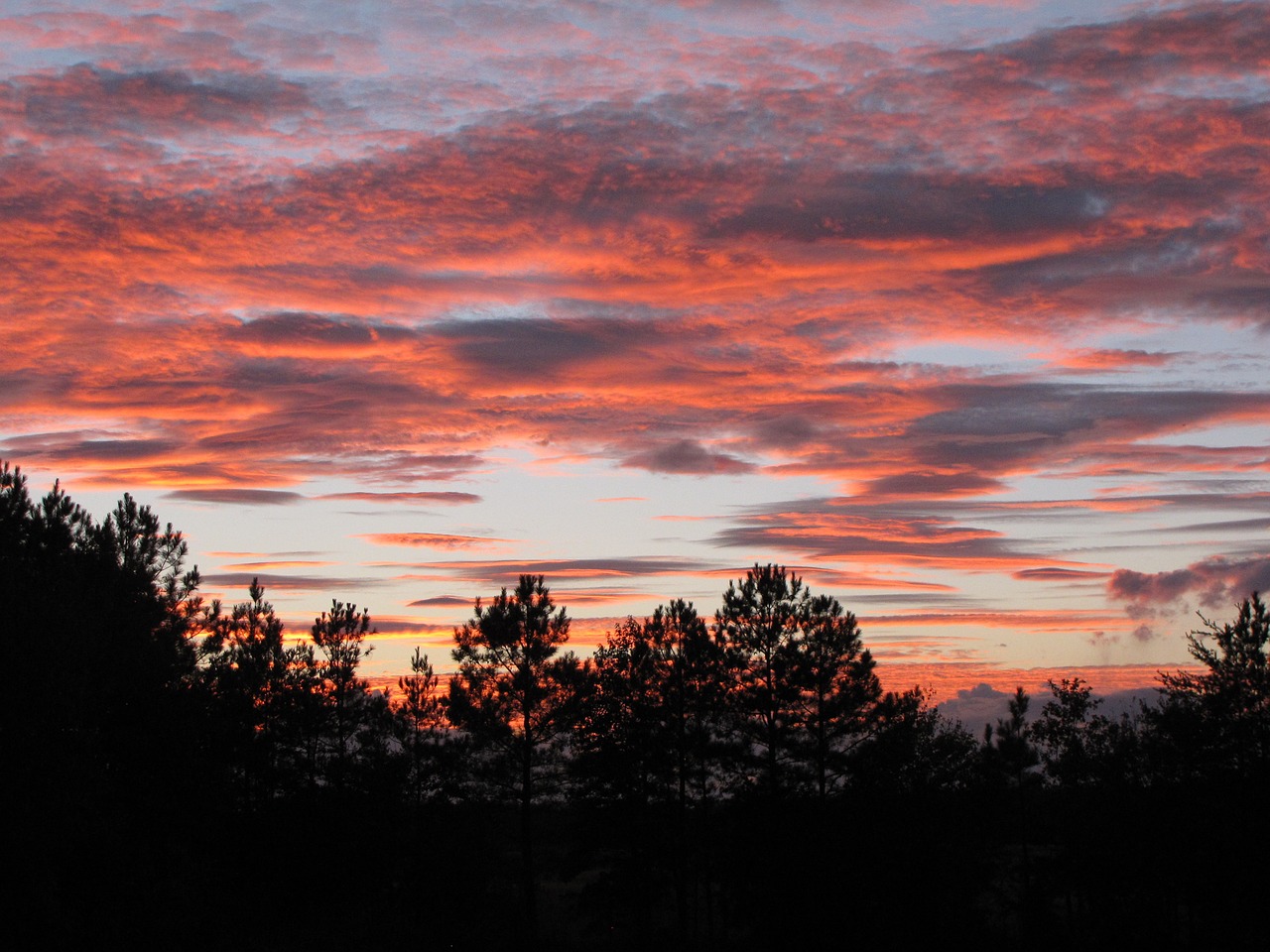 sunset evening sky pink clouds free photo