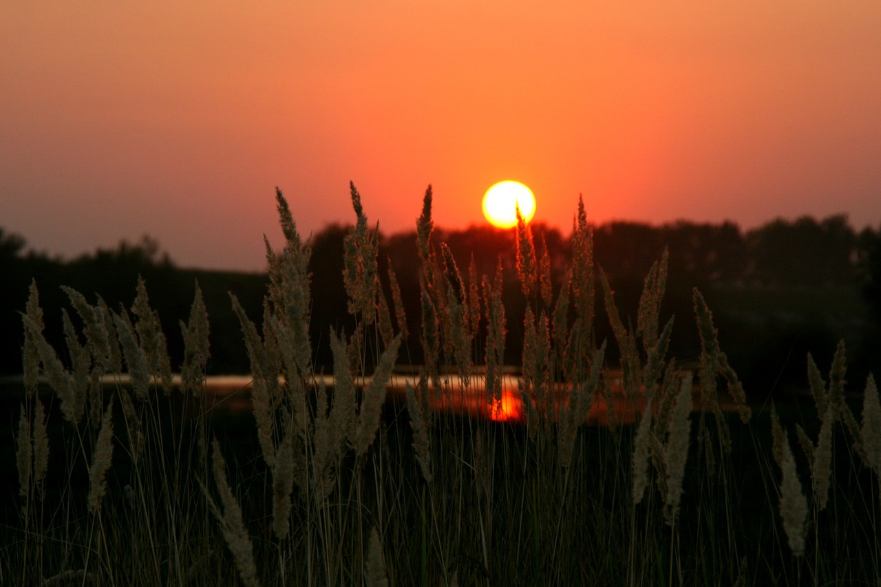 sunset sun cloud free photo