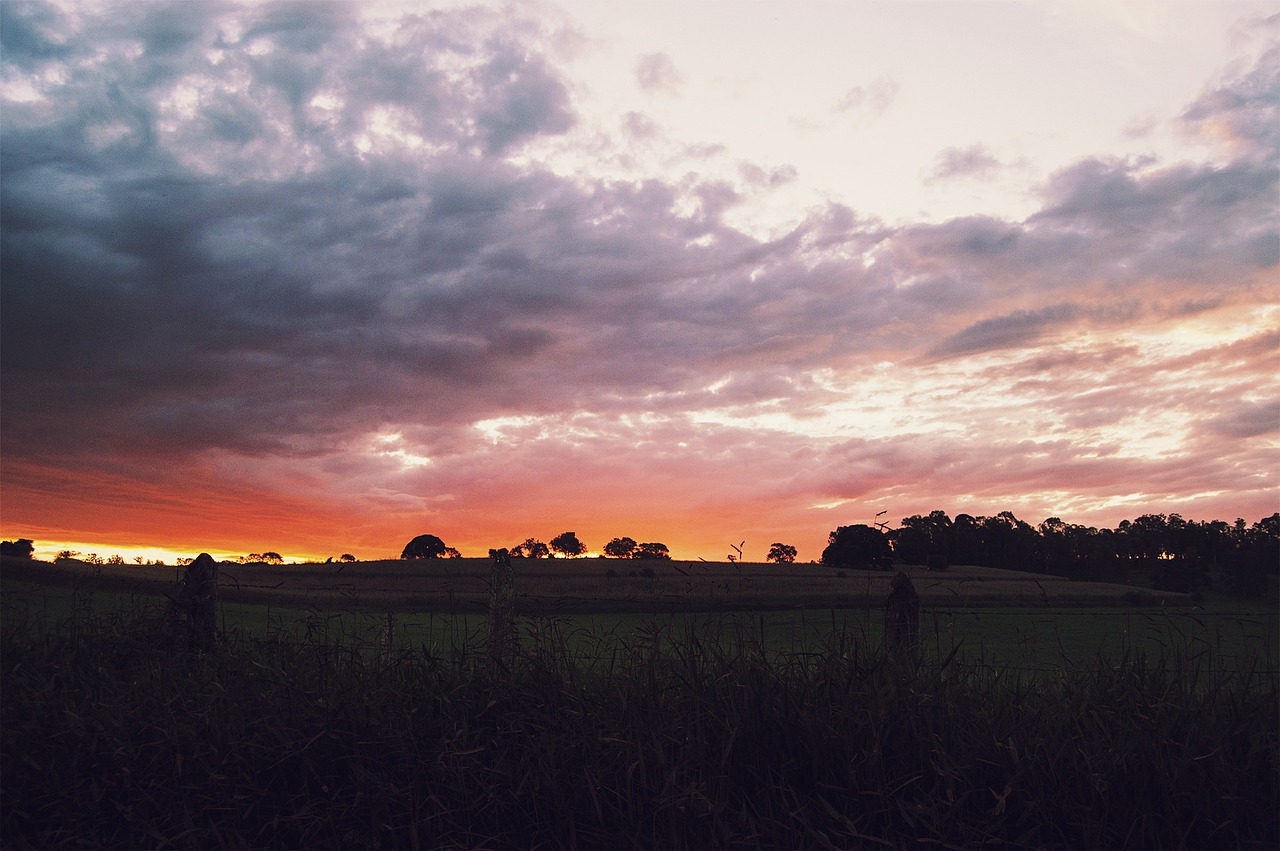 sunset dusk rural free photo