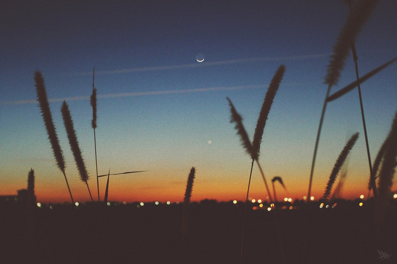 sunset dusk moon free photo