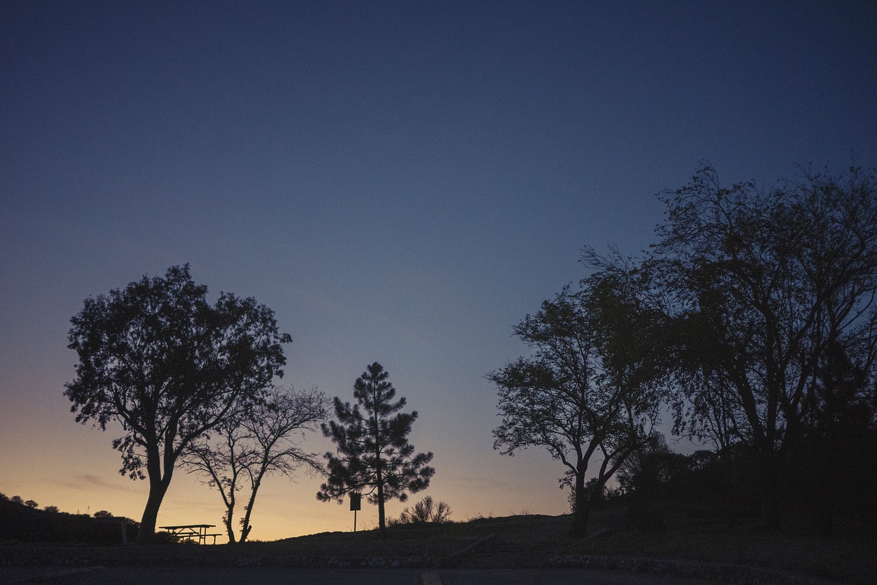 sunset dusk silhouette free photo