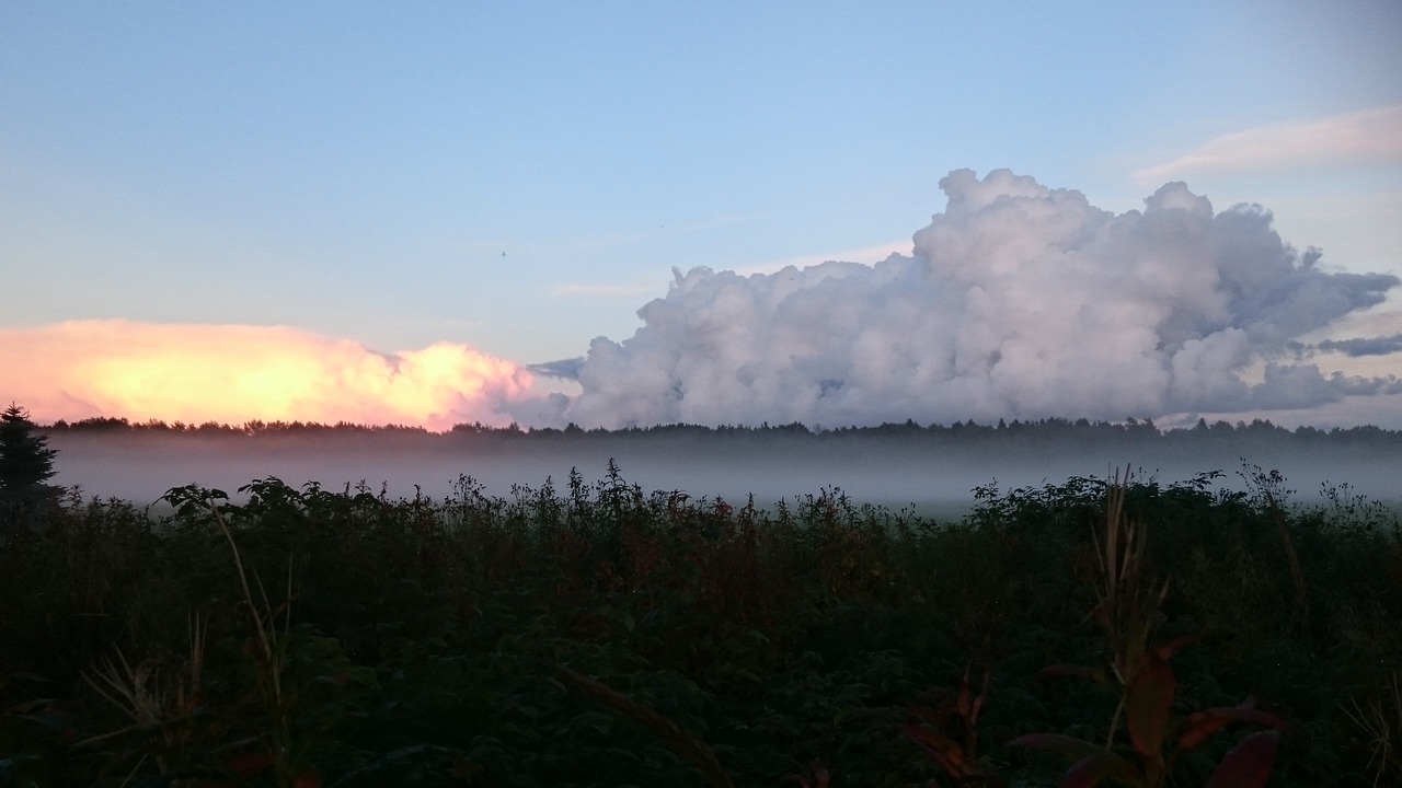 sunset sky fog free photo